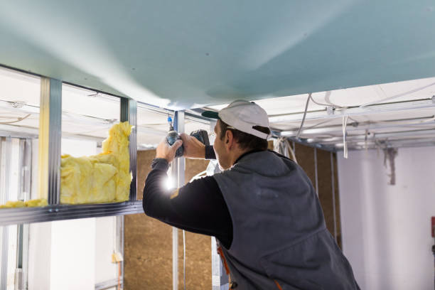 Best Geographic-Specific Insulation Services in Chickasaw, AL